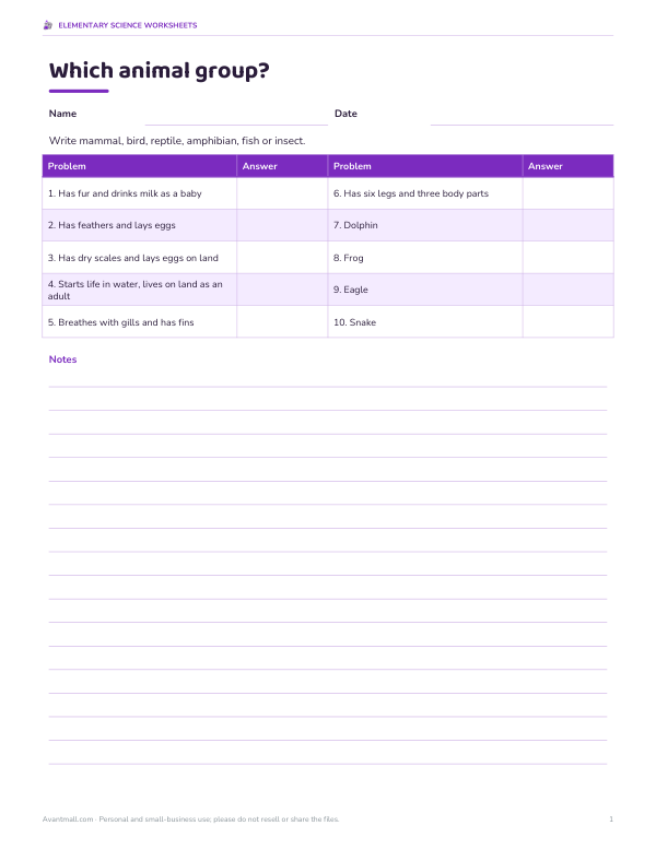 Preview of Animal Groups Worksheet