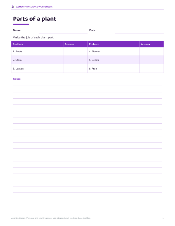 Preview of Parts of a Plant Worksheet